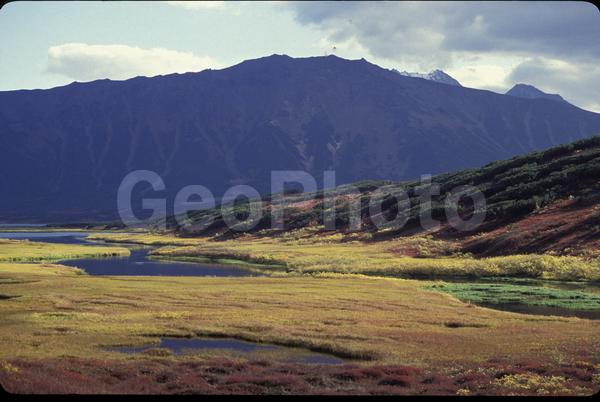 ���������, ������� ������, ������ ��������, ��������, ���������, ������, ������, ����, �����������, ������, �������, ����, ������, �����, ����, �������, ����� �������, ����������, ����������, ����������, ������, �������, �����, ����, �������, ������, ����, ������� �����, �����, ������, ���, ������, ����������, �����, ������, ����������, ��������