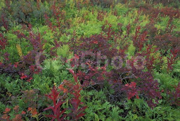 ���������, ������� ������, ������ ��������, ��������, ���������, ������, ������, ����, �����������, ������, �������, ����, ������, �����, ����, �������, ����� �������, ����������, ����������, ����������, ������, �������, �����, ����, �������, ������, ����, ������� �����, �����, ������, ���, ������, ����������, �����, ������, ����������, ��������