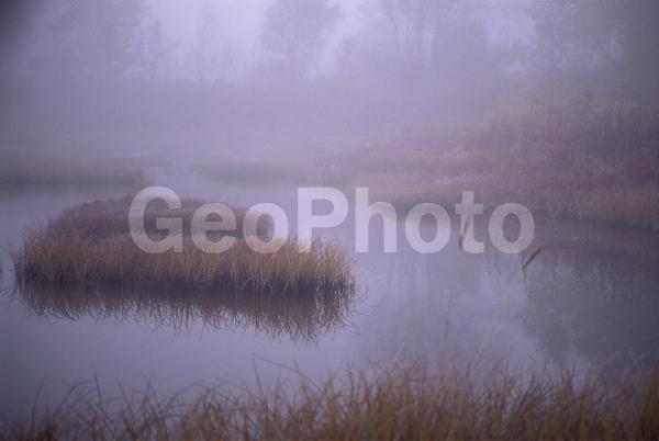 ���������, ������� ������, ������ ��������, ��������, ���������, ������, �����������, �������, ������, ����, ����� �������, ����������, ����������, �����, ����, �������, ����, ������� �����, �����, ������, ������, �����, ������