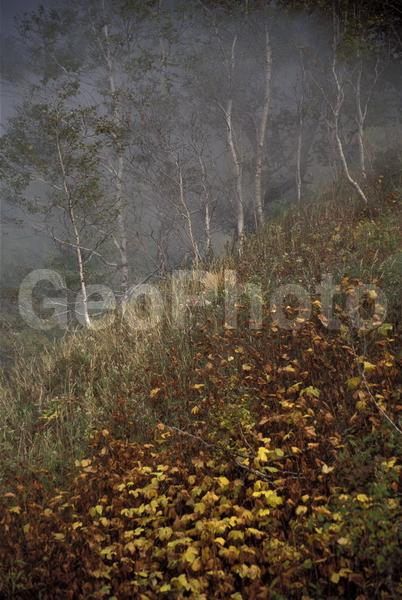 ���������, ������� ������, ������ ��������, ��������, ���������, ������, ������, ����, �����������, ������, �������, ����, ������, �����, ����, �������, ����� �������, ����������, ����������, ����������, ������, �������, �����, ����, �������, ������, ����, ������� �����, �����, ������, ���, ������, ����������, �����, ������, ����������, ��������