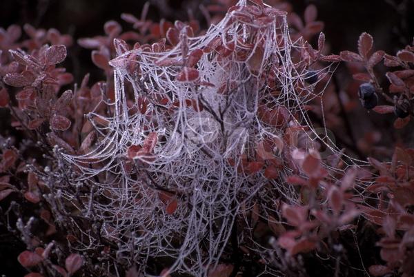 ���������, ������� ������, ������ ��������, ��������, ���������, ������, �����������, �������, ������, ����, ����� �������, ����������, ����������, �����, ����, �������, ����, ������� �����, �����, ������, ������, �����, ������