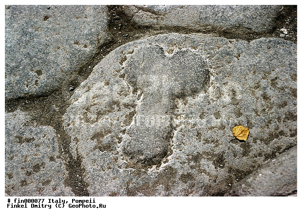 ������, ������