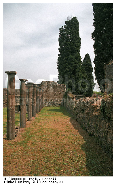 ������, ������