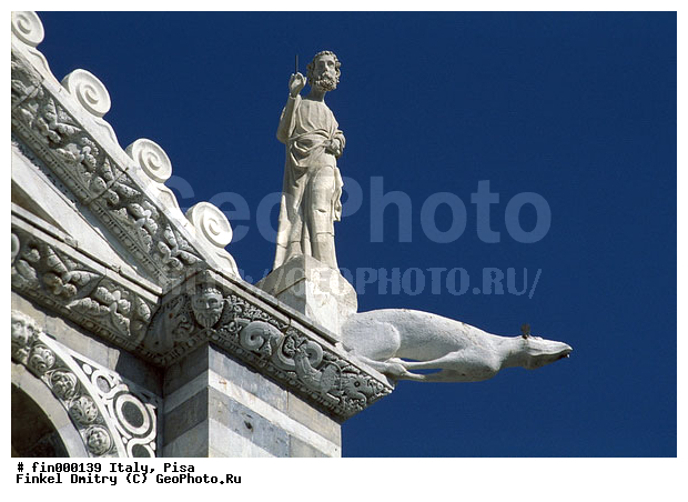 ������, ����