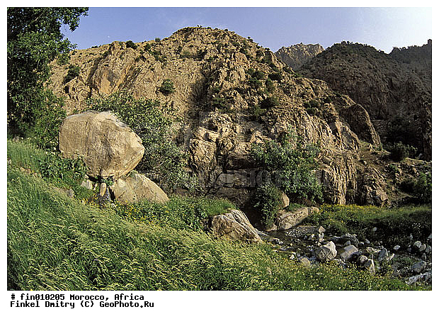 Ourika, ������, �������, �������