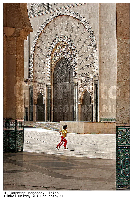 ������, ����������, �������, ����, �������, �������, ��������, �������, ����