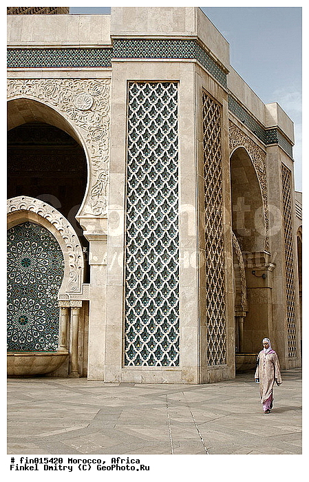 ������, ����������, �������, ������������, ���, �������, ������, �������, �������, ����, ����, ��������, �������, ���������, �����, ����, ������, �������