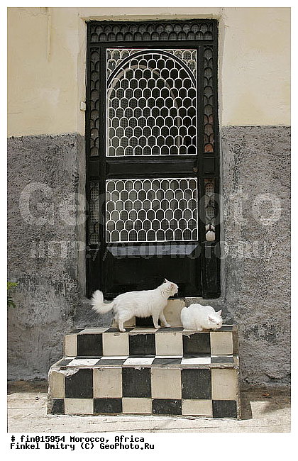 ������, �������, ������, �������