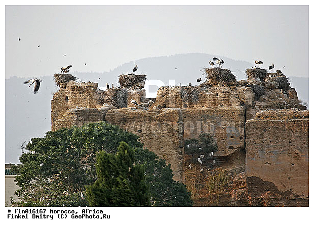 ������, �������, ������, ���������, �������, ��������, �����, ���������, ��������, ��������, �����, �����, ����, �����