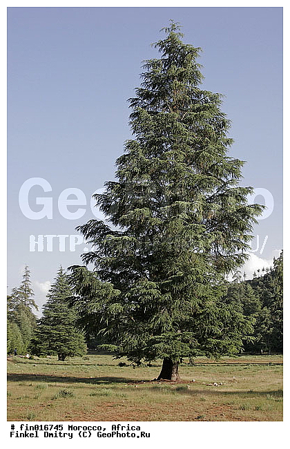 ������, �������, �������, ������, �������, �������, ����, ����, ��������, �����