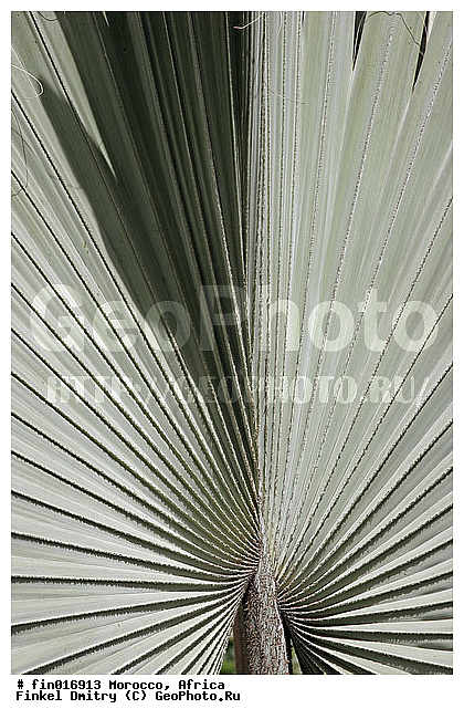 ������, �������, ��������, �������, ��������, �������, �����