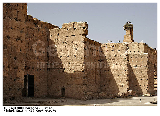 ������, �������, ��������, ����, ������, ������, ��������, �����, ��������, �����, �����, XYZ, ��������, Ciconiidae, ����� ����, Ciconia ciconia