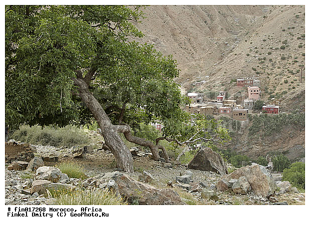 Ourika, ������, �������, �������