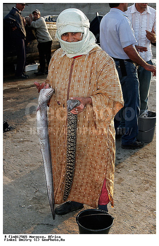 Essaouira, ������, �������, �����, �������, �������, �������, ��������, ����, ������, ������