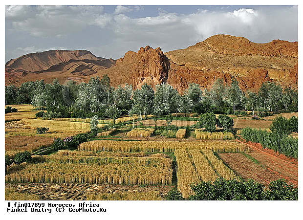 Ouarzazate, ������, �������, ��������, ������, �������, ������, ����, ��������, �����, �����