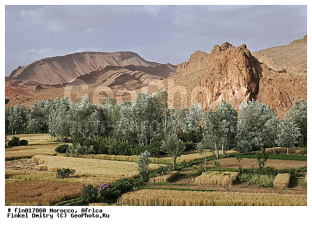 Ouarzazate, ������, �������, ��������, ������, �������, ������, ����, ��������, �����, �����