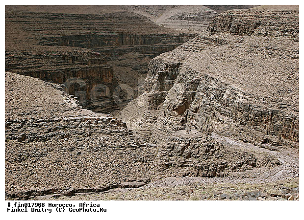 ������, ������, �������, ���������, �����������, �����������, ����, ����, �����, �����, ��������, �������