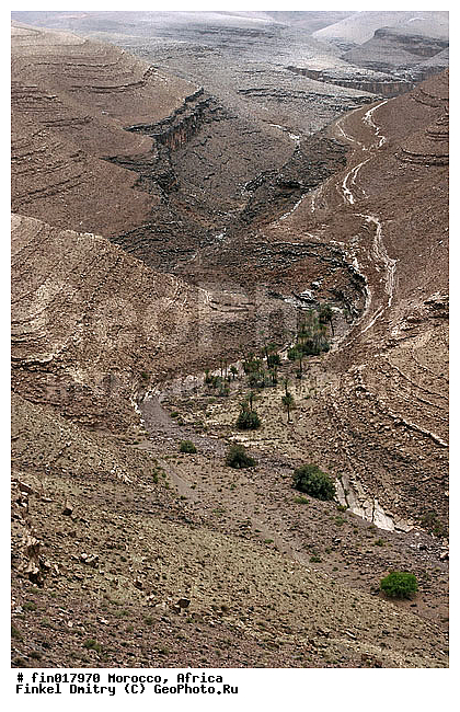 ������, ������, �������, �����������, �����������, ����, ����, �������, �����, �����, ��������, �������