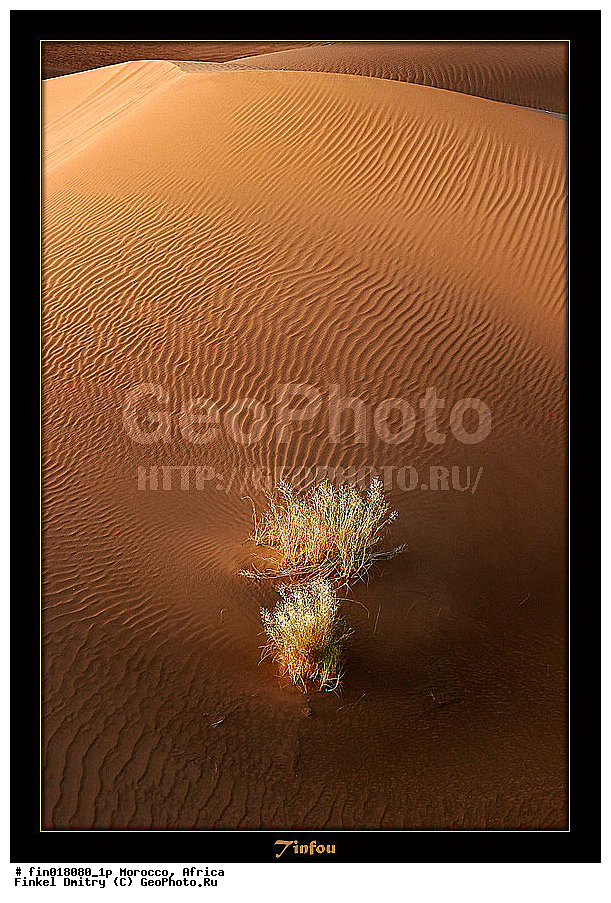 ������, ������, �������, �����������, �����������, � �����, �������, �����, �����, ��������, �������, �����, ��������, ��������, ���������, ��������, �����, ���, �������, �������