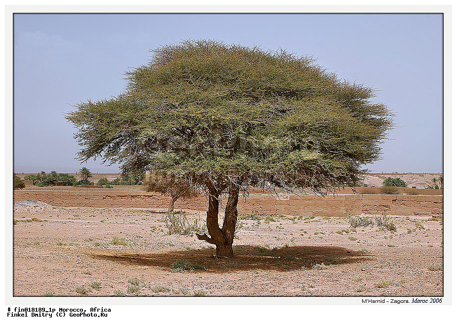 ������, ������, �������