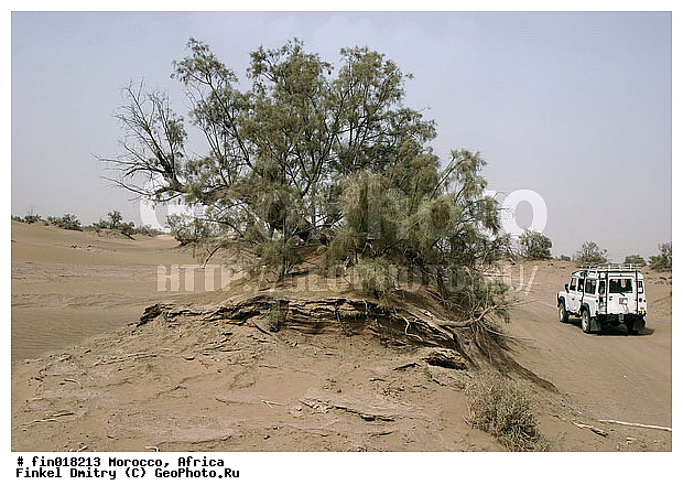 ������, ������, �������