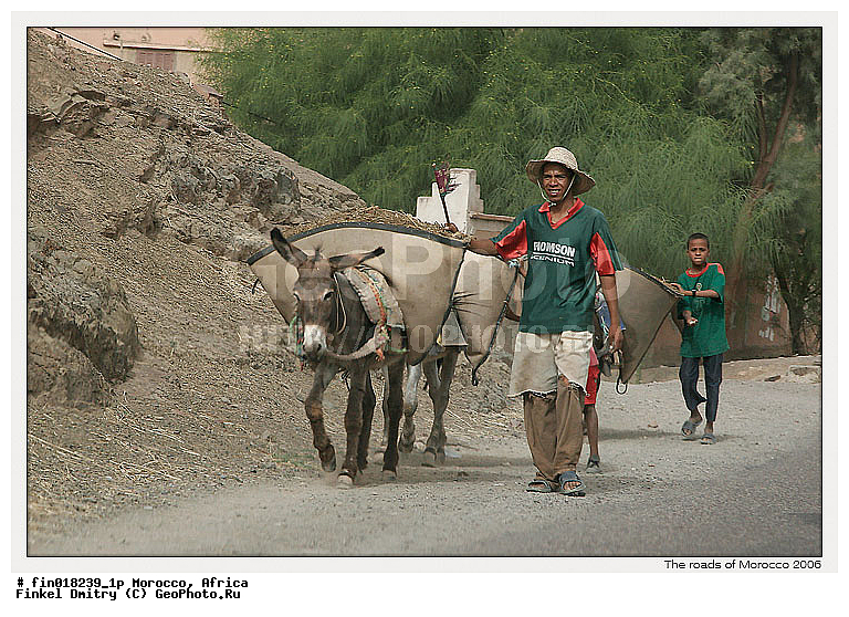 ������, ������, �������