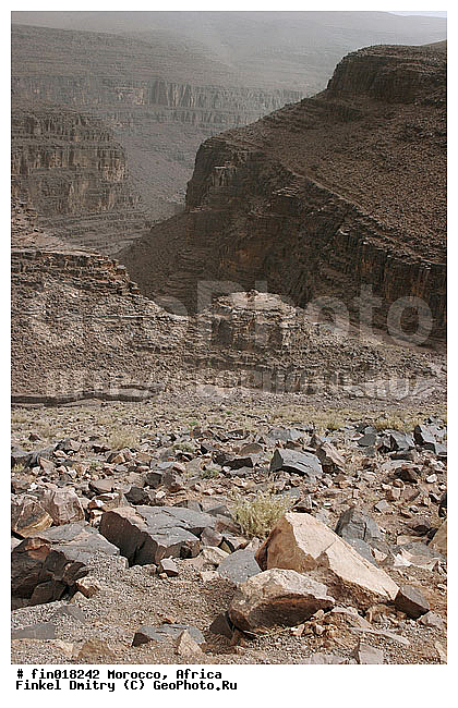 ������, ������, �������, �������