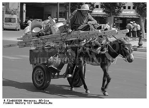 ������, ������, �������