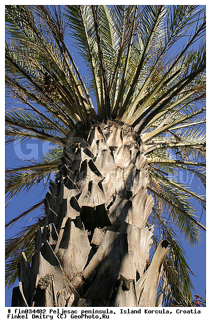 ���������� �������. ������ �������, ��������, ��� �����, ������