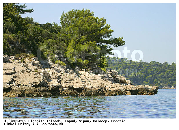 �������, �����, ��������, �����, ���������� �������, �����, ����, �������, �����