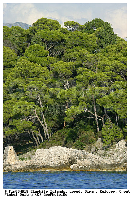 �������, �����, ��������, �����, ���������� �������, ����, �������, �������