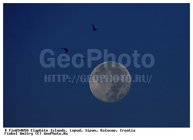 �������, �����, ��������, �����, ���������� �������, ����, ����, �����