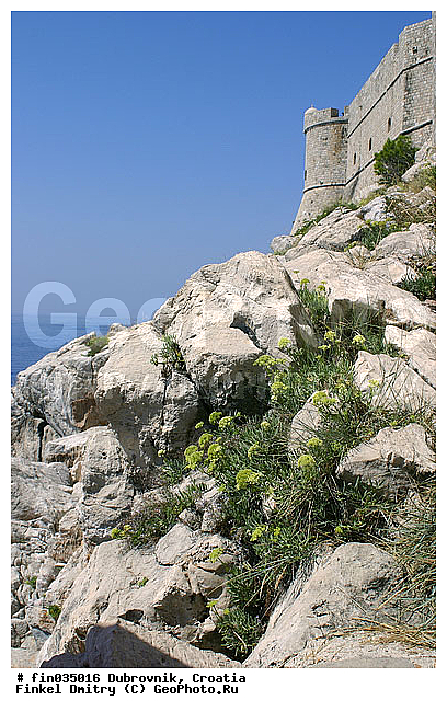 ���������, ��������, ����, ��������������, �����, �����, ����� �����