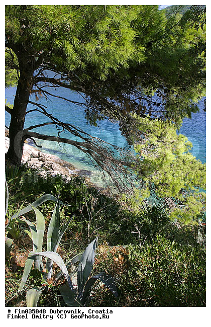 ���������, ��������, ����� ����, �������, �������, �����, �����