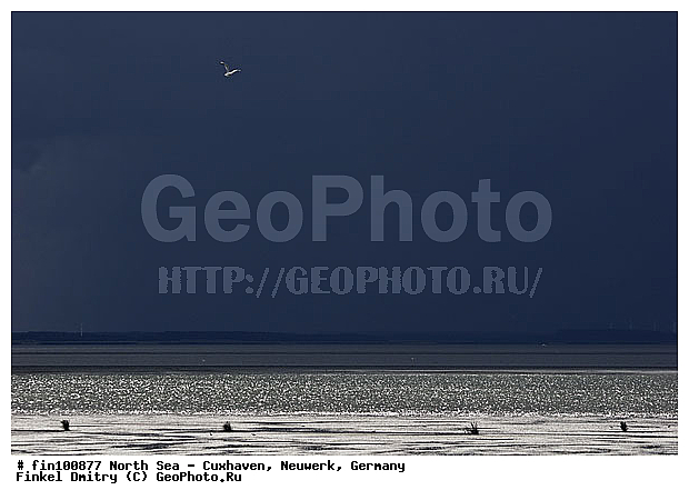 ��������, ���������, �������, �������� ����, ����, ��������, ����������, ����, ����, ���� �� ����, �����-�����