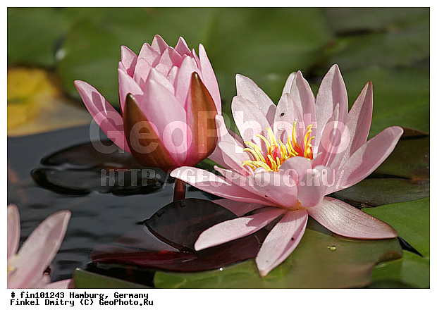 �������, ��������, ����, ������� �����, �������, ��������, �������, ������