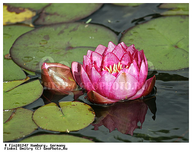 �������, ��������, ����, ������� �����, �������, ��������, �������, ������