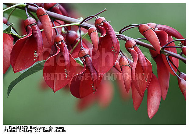 �������, ��������, �������, �������, ��������, ������