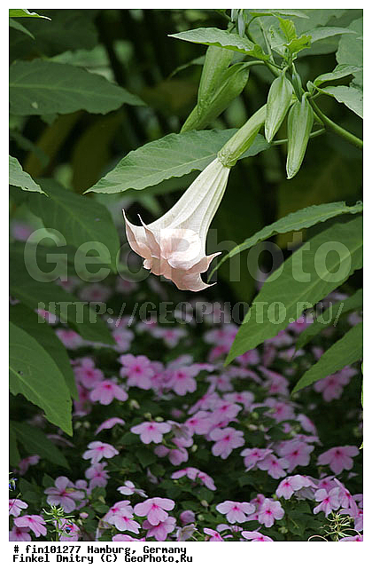 �������, ��������, �������, ��������, ����������, ������