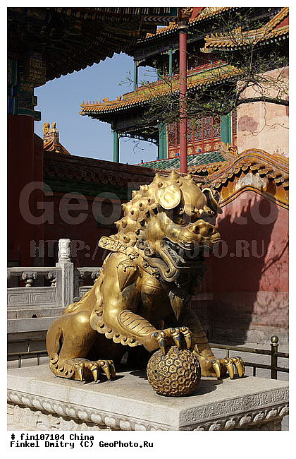 �����, �����, �����, ������, ������ �����