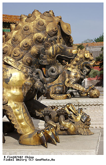 �����, �����, �����, ������, ������ �����