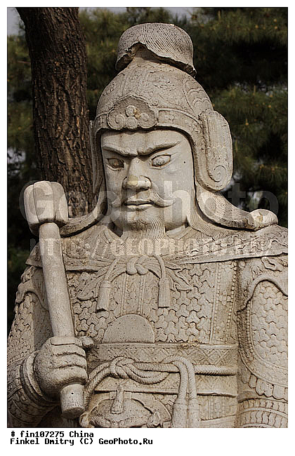 �����, �����������, �����, �������, ����������, ���������� ���������, ����������, �������� ����������