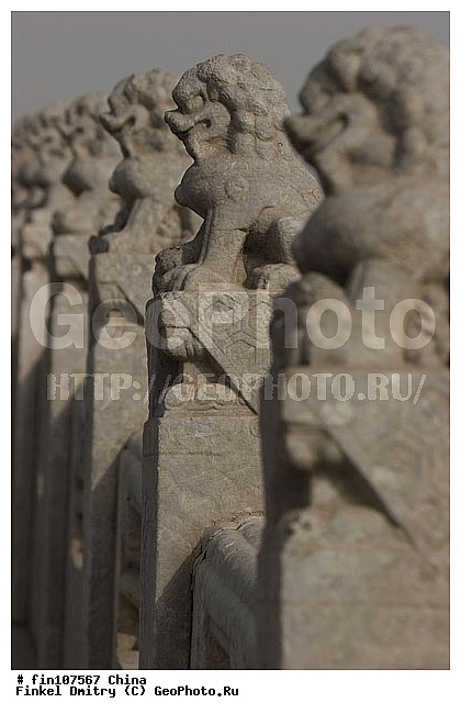 �����, ������ ������, ������, �������� ������