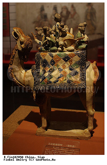 �����, �����, ��������������� �����, ����������, �����, ��������