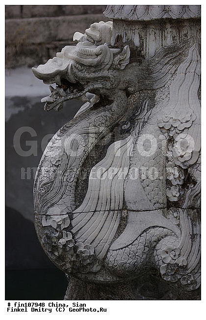 �����, �����, �����