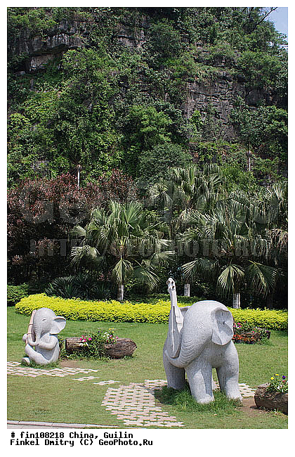 �������, �����