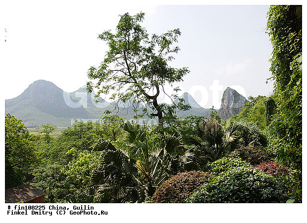 �������, �����