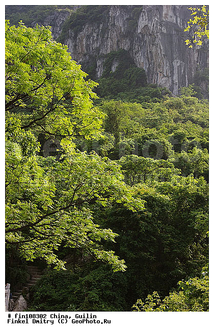 �������, �����