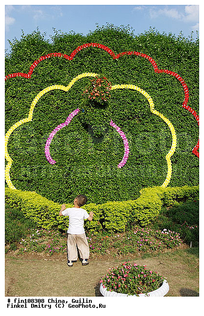 �������, �����