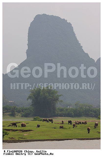 �����, �� �����, �� ������� �� �����, ����, ���� �� �����, ����� �� ����